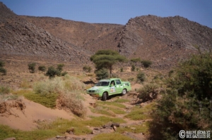Équipage #110 - Image 8