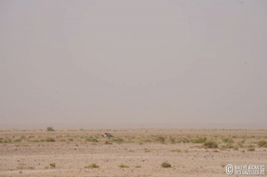 Équipage #113 - Image 7