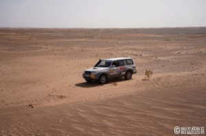 Équipage #152 - Image 8