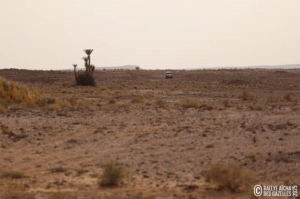 Équipage #210 - Image 7