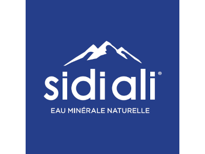 Sidi Ali